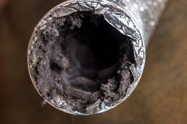 Best Dryer Vent Cleaning Services  in Monongahela, PA